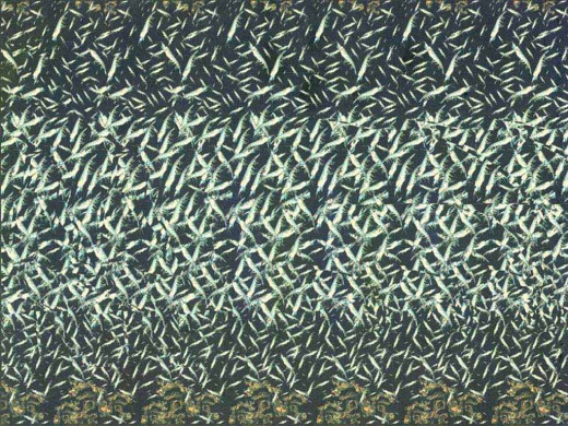 8648 (a): :1024x768